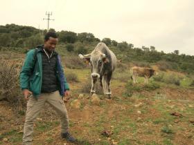 photo coins arrondis