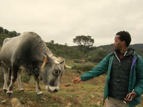 photo coins arrondis