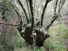 photo coins arrondis