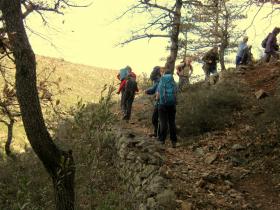 photo coins arrondis