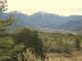 photo coins arrondis