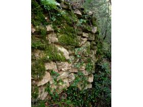 photo coins arrondis