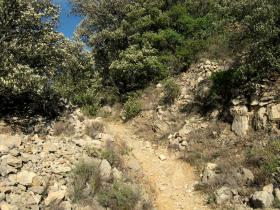 photo coins arrondis