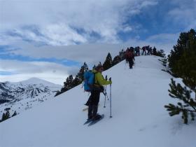 photo coins arrondis