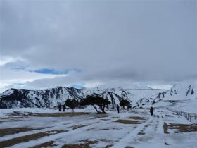 photo coins arrondis