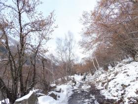 photo coins arrondis