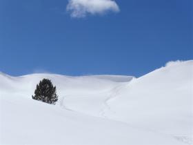 photo coins arrondis