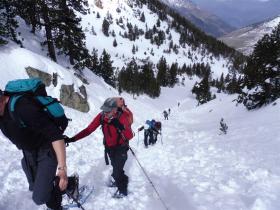 photo coins arrondis