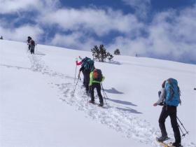 photo coins arrondis