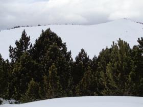 photo coins arrondis