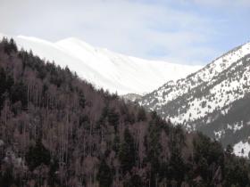 photo coins arrondis