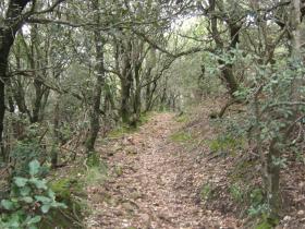 photo coins arrondis