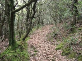 photo coins arrondis