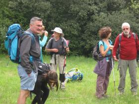 photo coins arrondis