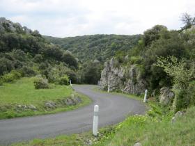 photo coins arrondis