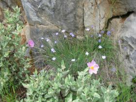 photo coins arrondis