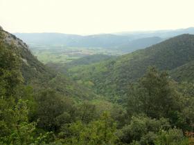 photo coins arrondis