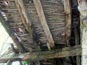 photo coins arrondis