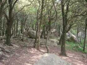 photo coins arrondis