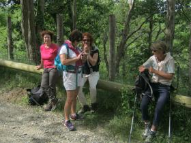 photo coins arrondis