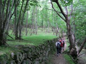 photo coins arrondis