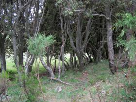 photo coins arrondis