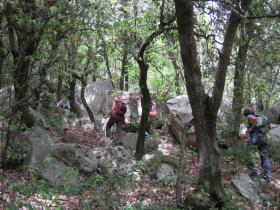 photo coins arrondis