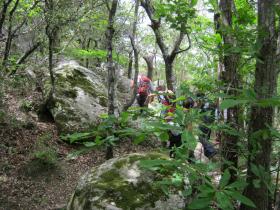 photo coins arrondis