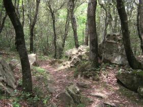 photo coins arrondis