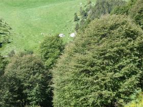 photo coins arrondis