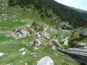 photo coins arrondis