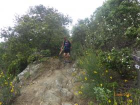 photo coins arrondis