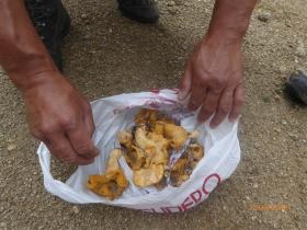 photo coins arrondis