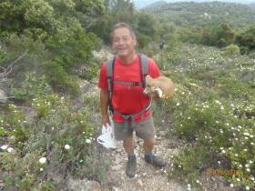 photo coins arrondis