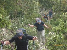 photo coins arrondis