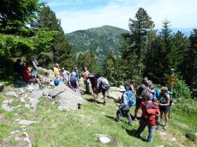 photo coins arrondis