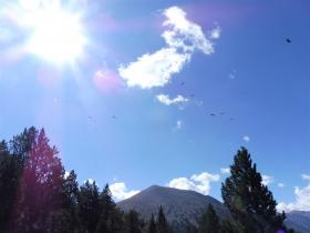 photo coins arrondis