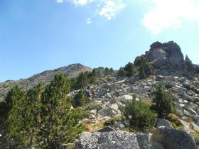 photo coins arrondis