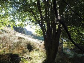 photo coins arrondis