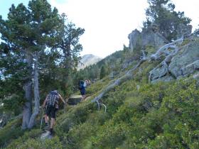 photo coins arrondis