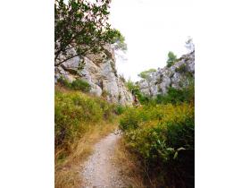 photo coins arrondis