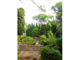 photo coins arrondis