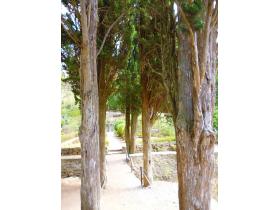 photo coins arrondis