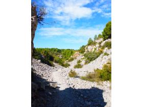 photo coins arrondis