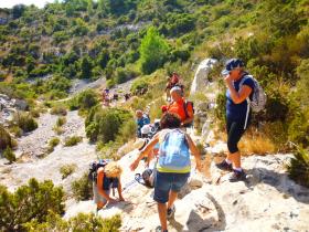 photo coins arrondis