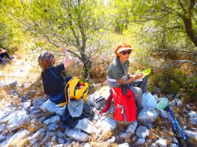 photo coins arrondis