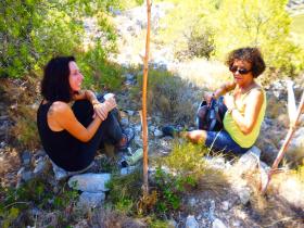 photo coins arrondis