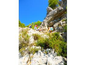 photo coins arrondis