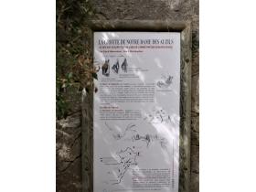 photo coins arrondis