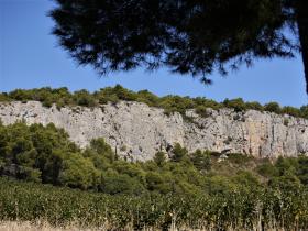 photo coins arrondis